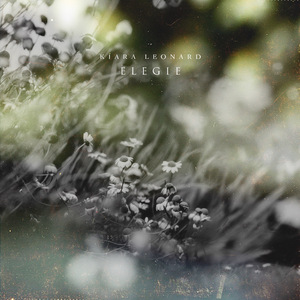 兽皇videos极品另类仙踪林
