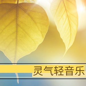 兽皇videos极品另类仙踪林
